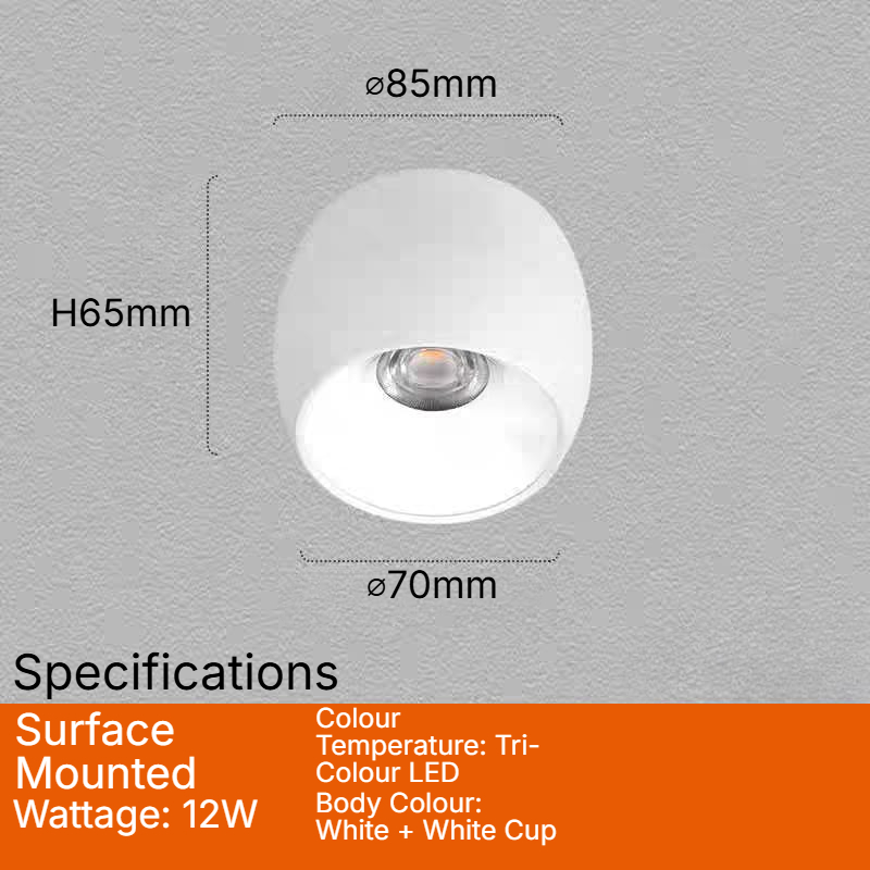 Surface-Mounted Spotlight (12W CCT)