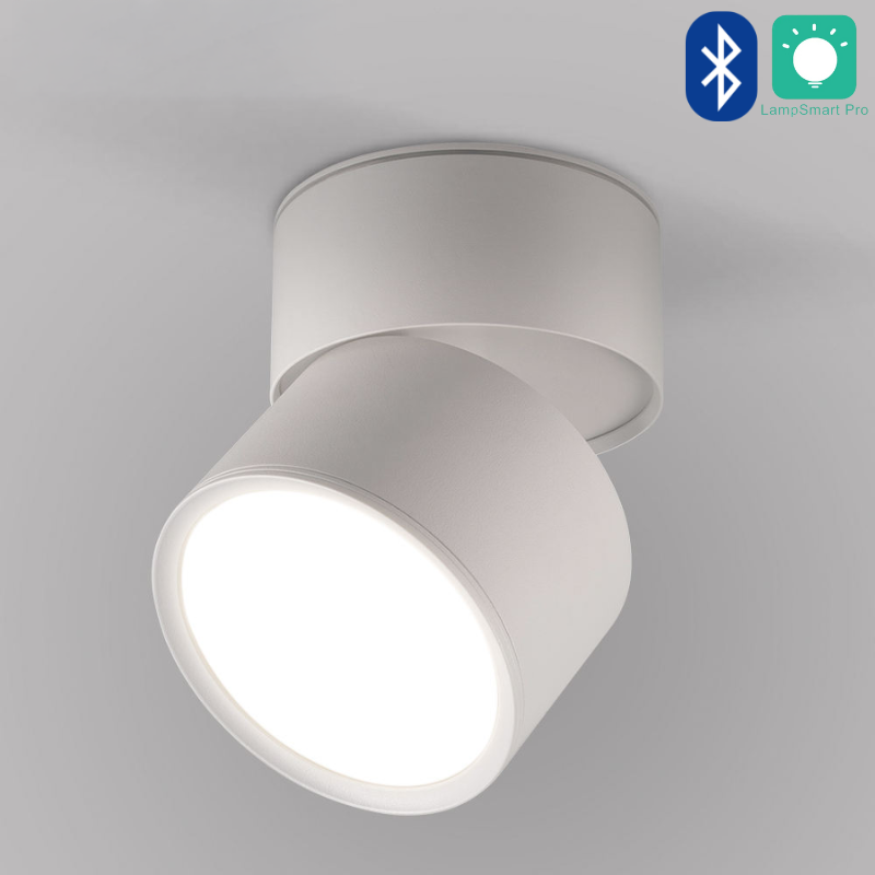 Adjustable LED Ceiling Light