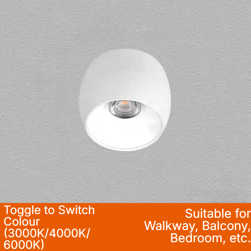 Surface-Mounted Spotlight (12W CCT)