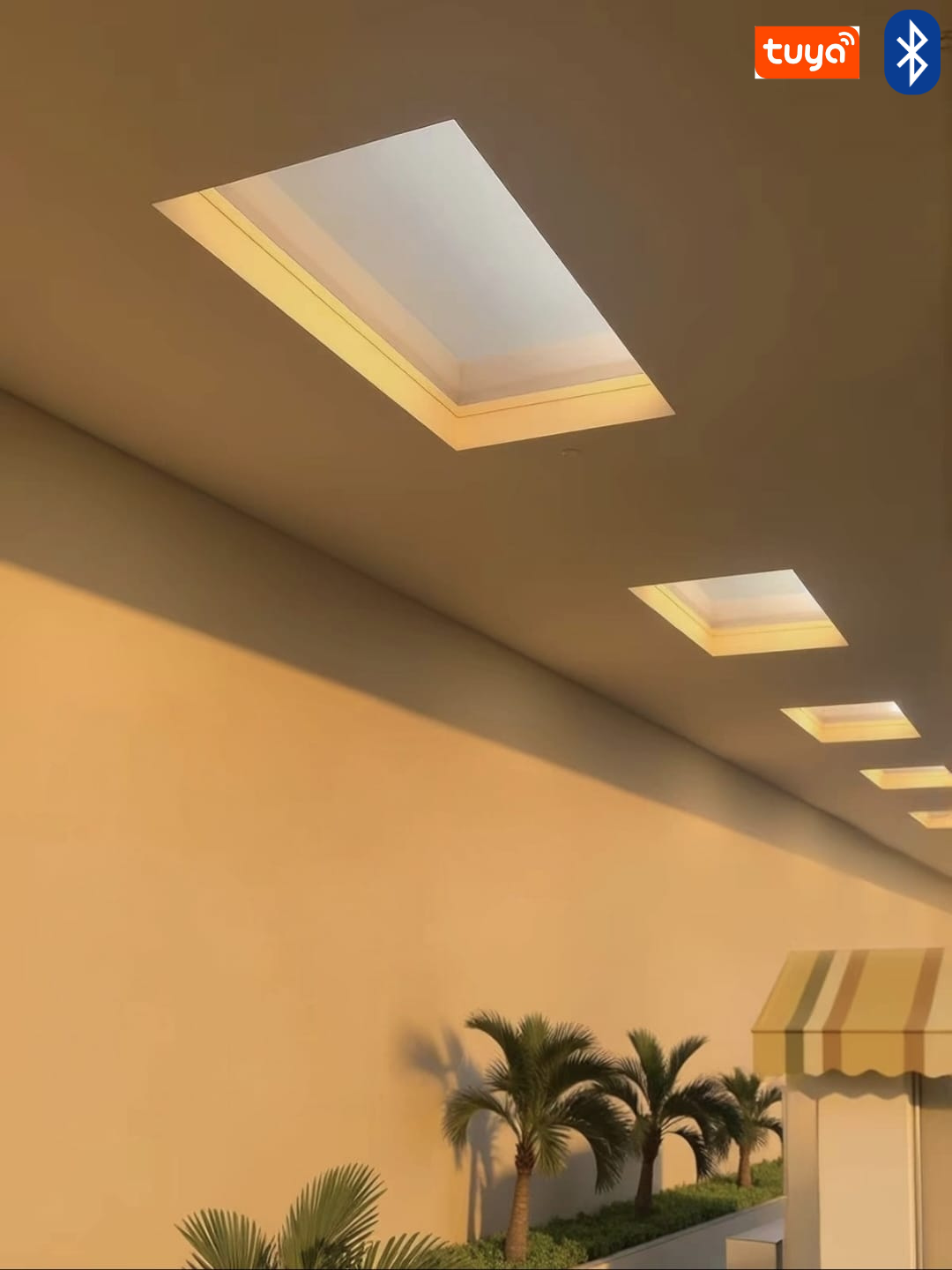 Panel Ceiling Skylight