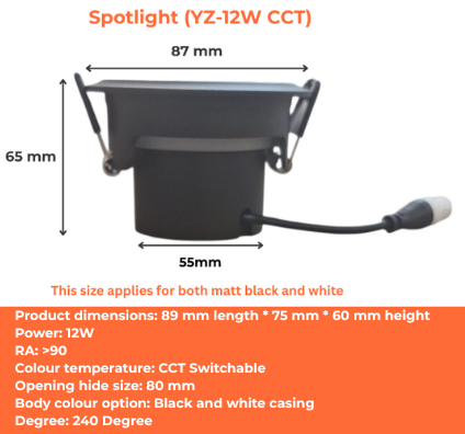 Spotlight (YZ-12W CCT)