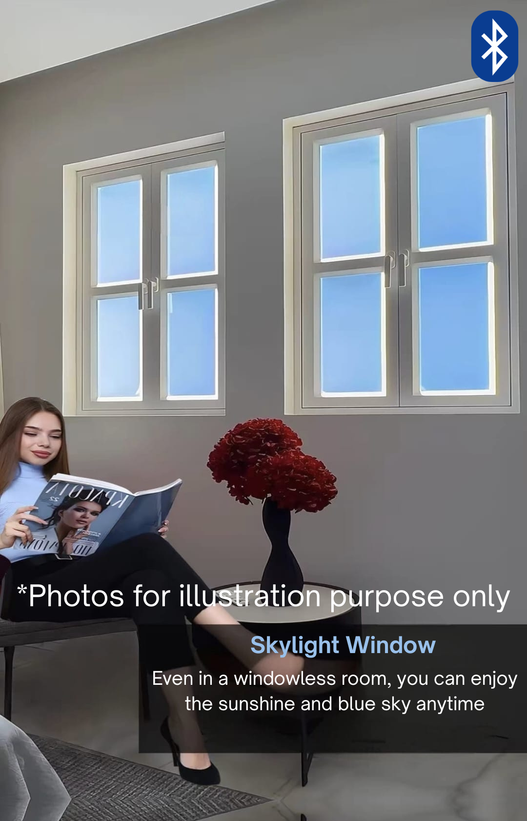 Skylight Window
