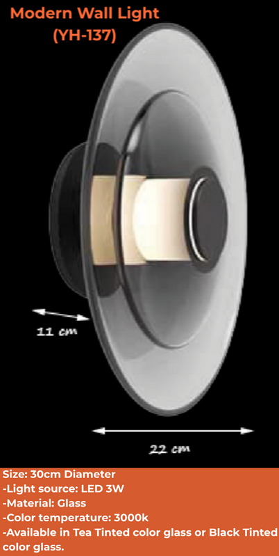 Modern Wall Light (YH-137) 