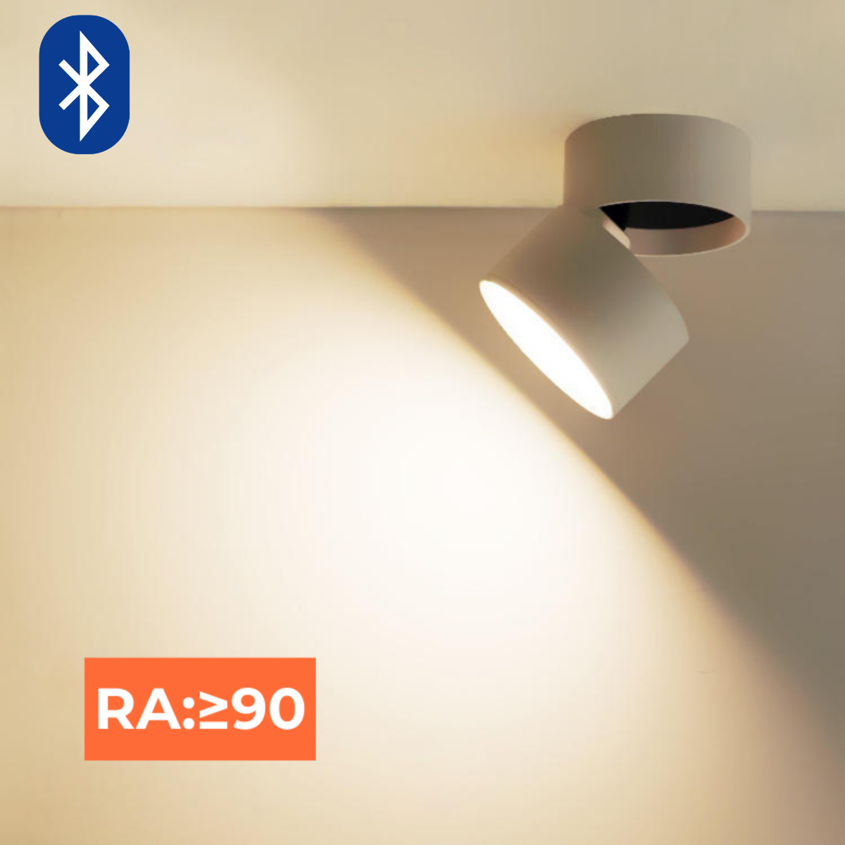 Adjustable LED Ceiling Light