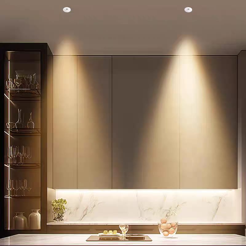 Spotlight with Small Hole (CCT-12W)