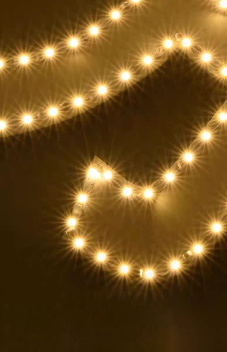 SMD Led Flexible Strips