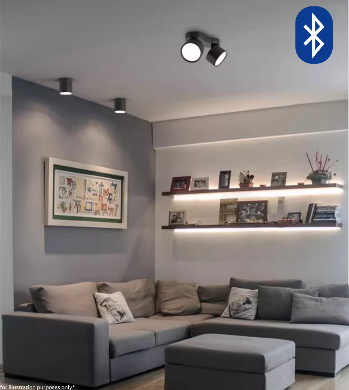 Adjustable LED Dual Ceiling Light