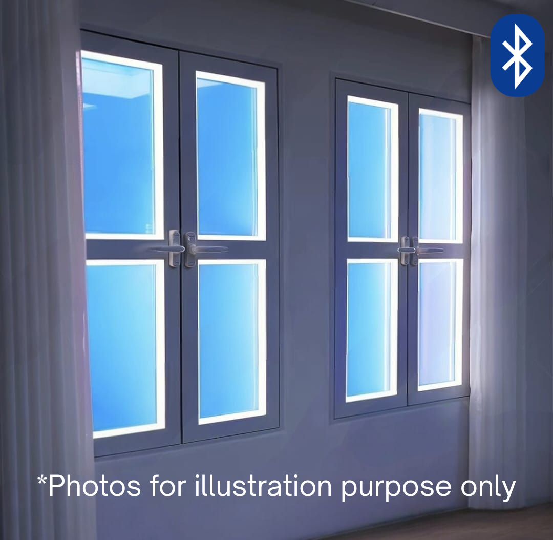 Skylight Window