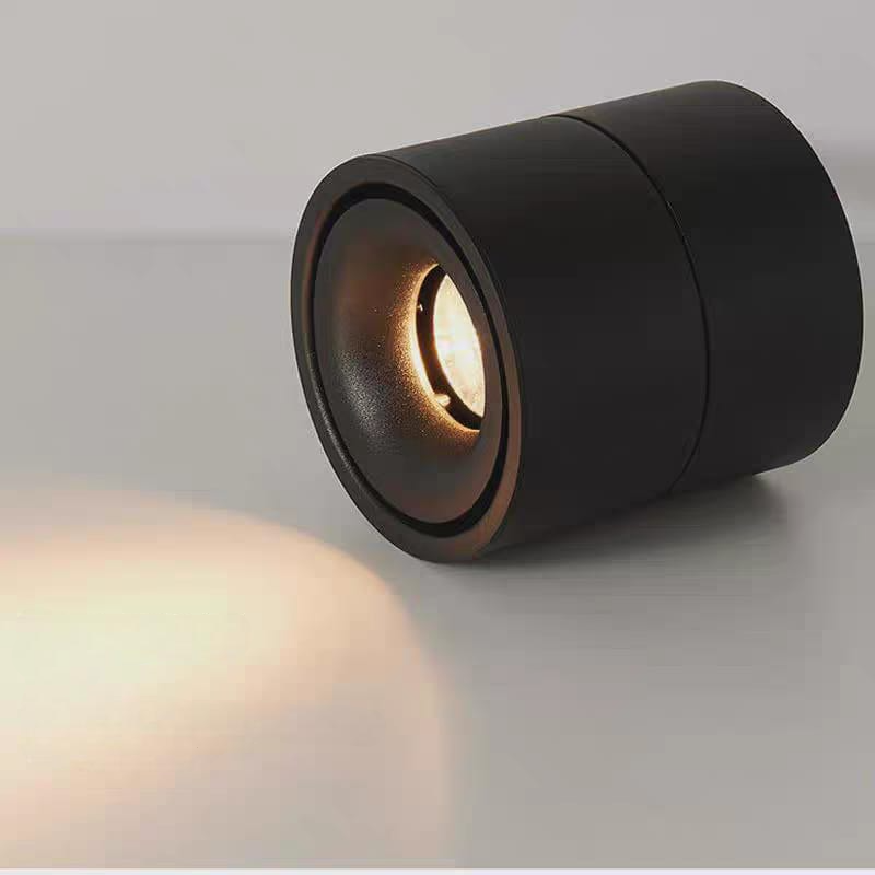 Surface-Mounted Spotlight (C/3017-1 WH/BK)