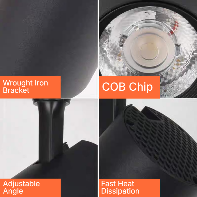 CCT Switchable Normal Track Lamp