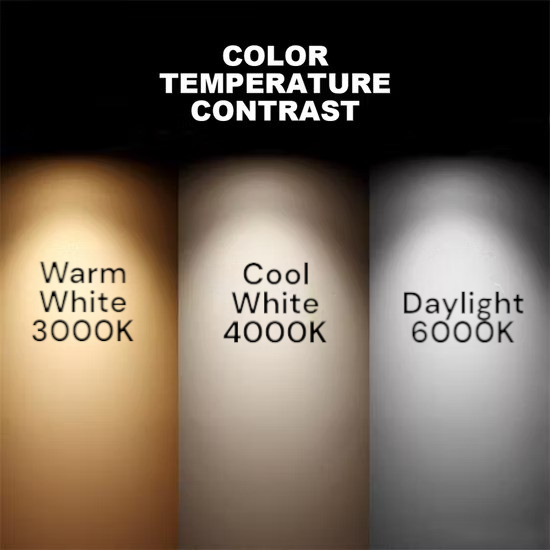 LED Downlight F Series - 5W/9W/12W CCT (F-5W/9W/12W-CCT WH/BK)