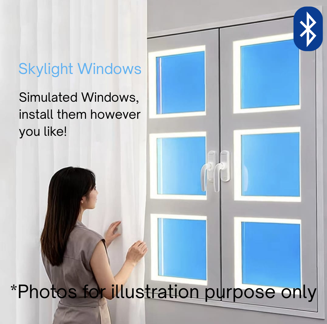 Skylight Window