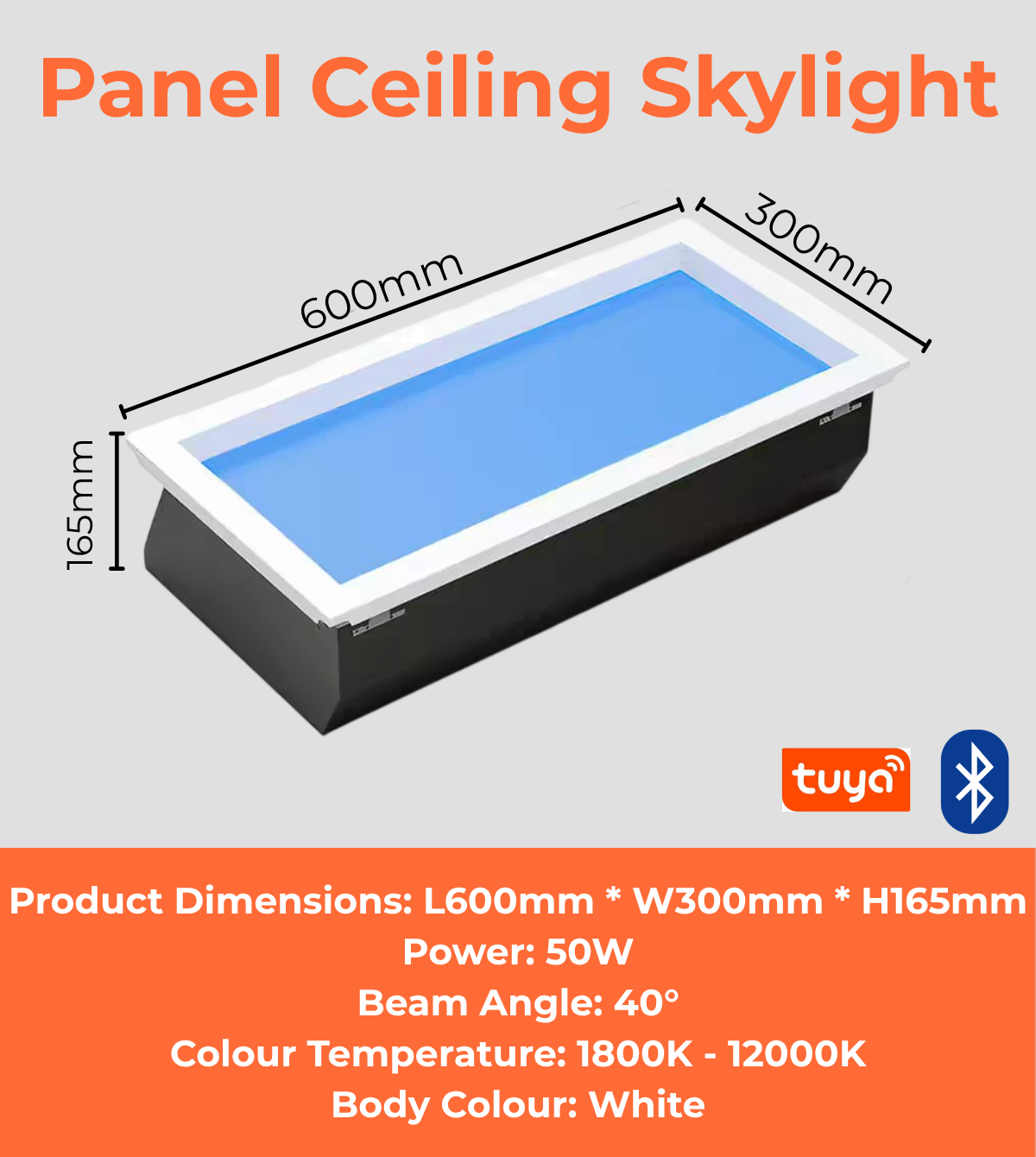 Panel Ceiling Skylight